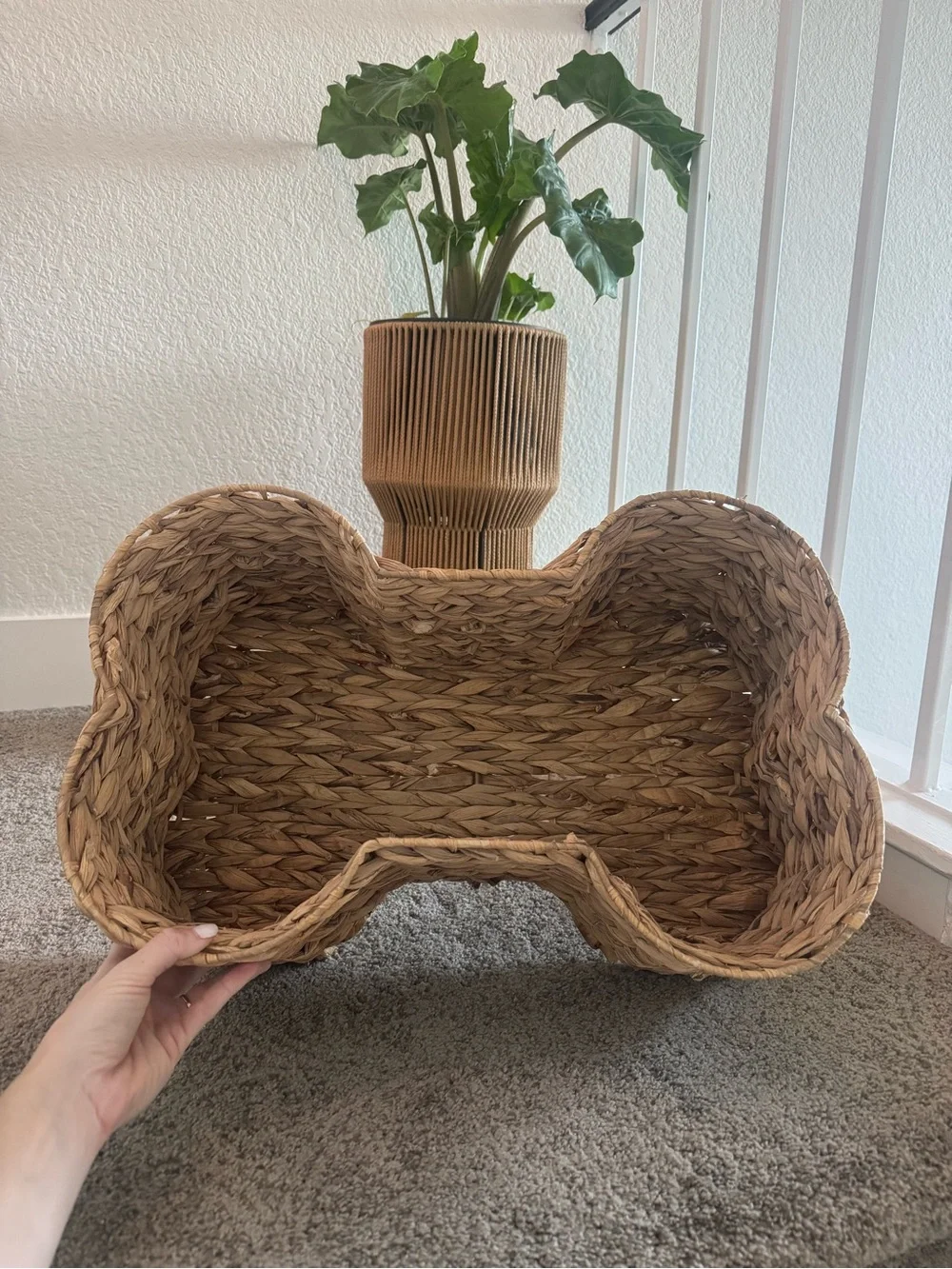 Handwoven Natural Seagrass Decorative Pet Basket 🦴 🧺